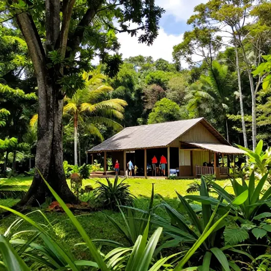 Explorando a Vida Caboca Turismo