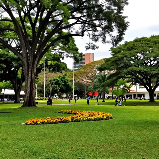 Parque da Cidade de Belém: Um Refúgio Natural em Meio à Cidade Parque da Cidade de Belém: Um Refúgio Natural em Meio à Cidade