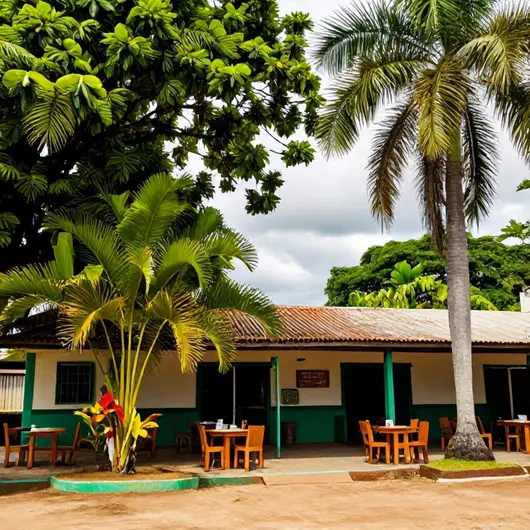 Ver-O-Açaí: Um Refúgio Tropical em Belém